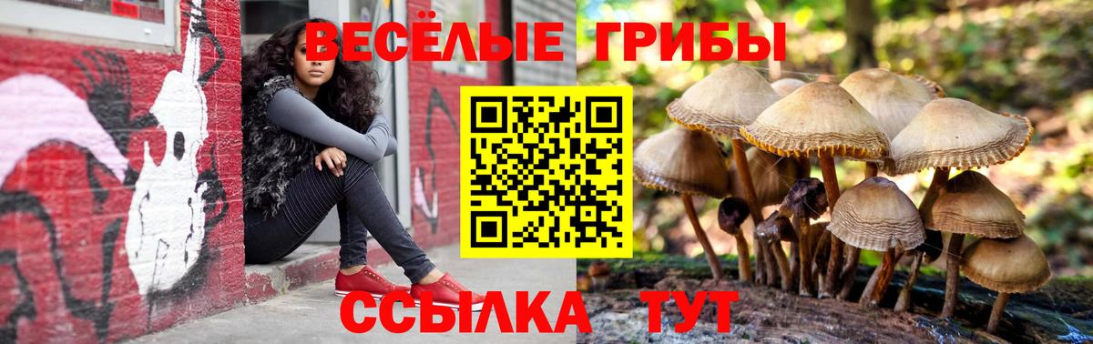 закладки  Вход с VPN  Ярославль  Галлюциногенные грибы GOLDEN TEACHER 